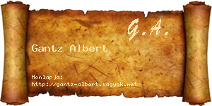 Gantz Albert névjegykártya